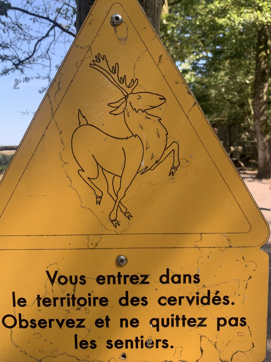 [IRL] family vacations at some amazing animal park. Just learned that, in order to show how powerful and strong they are,  male deers (amongst other things) cover themselves in their own urine and sperm 🫶🦌💐