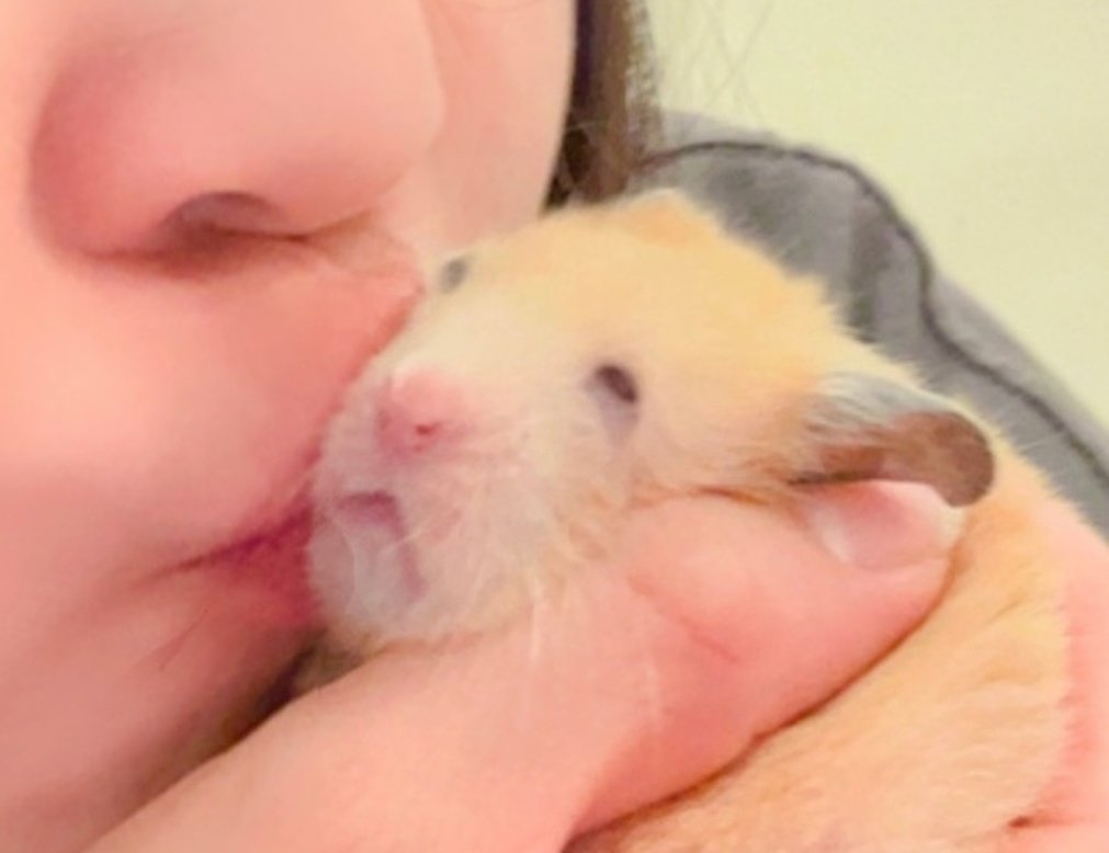 venuslovesrats's tweet image. :&amp;lt;