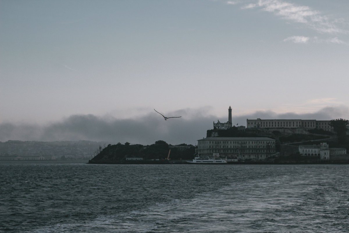 VanadiumPhoto's tweet photo. I love you beyond words, San Francisco… until next time🤍

#SanFrancisco #BayArea #California https://t.co/xWSCmPIQ4N