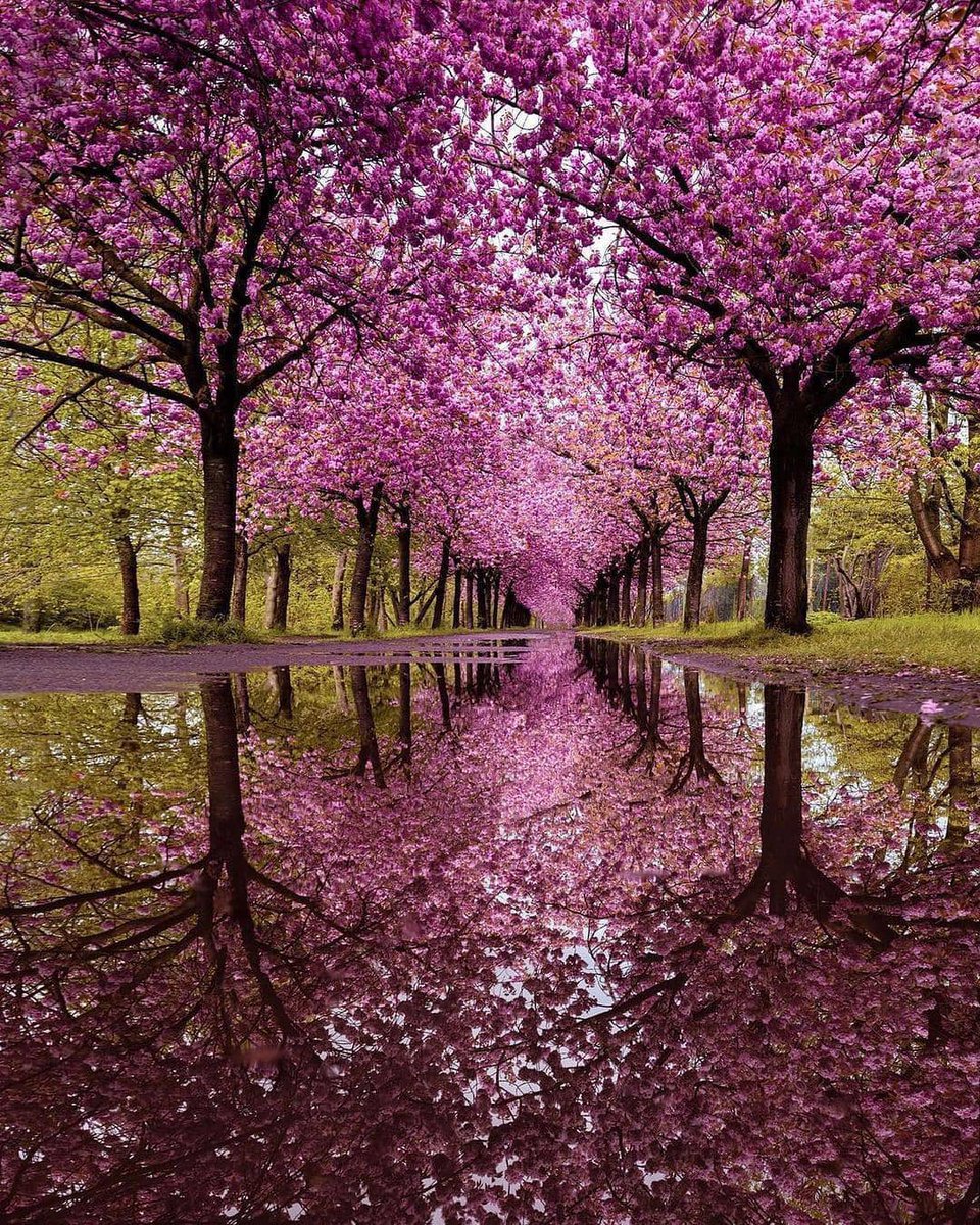 JeanetteEliz's tweet photo. Hello Everyone! 😊 Have a beautiful day
💞🌸💕 https://t.co/4CpQRXjROn
