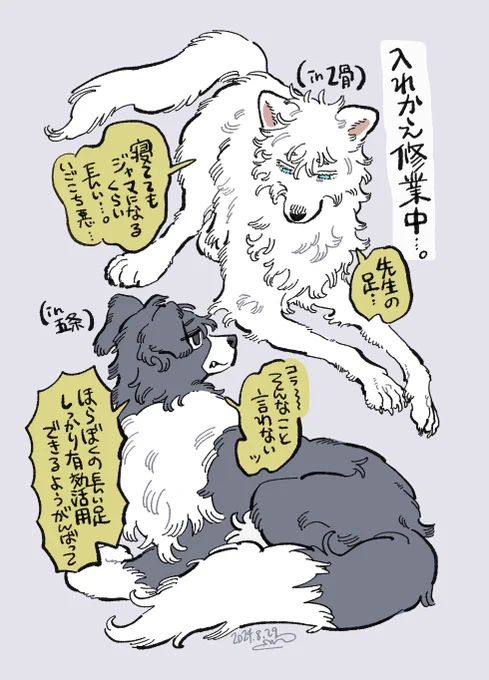 マシュマロからリクエストあった乙+悟です(獣化) 