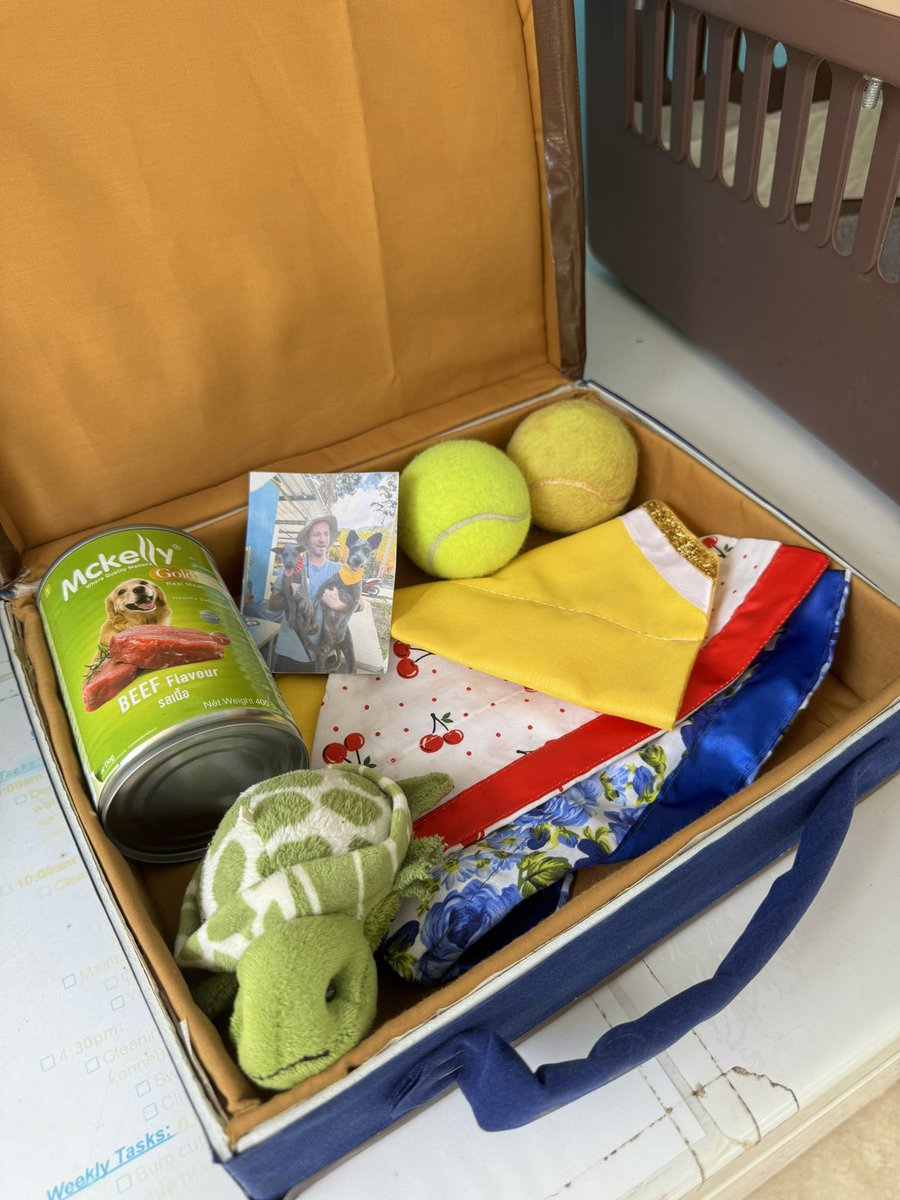 Niall Harbison tweet media