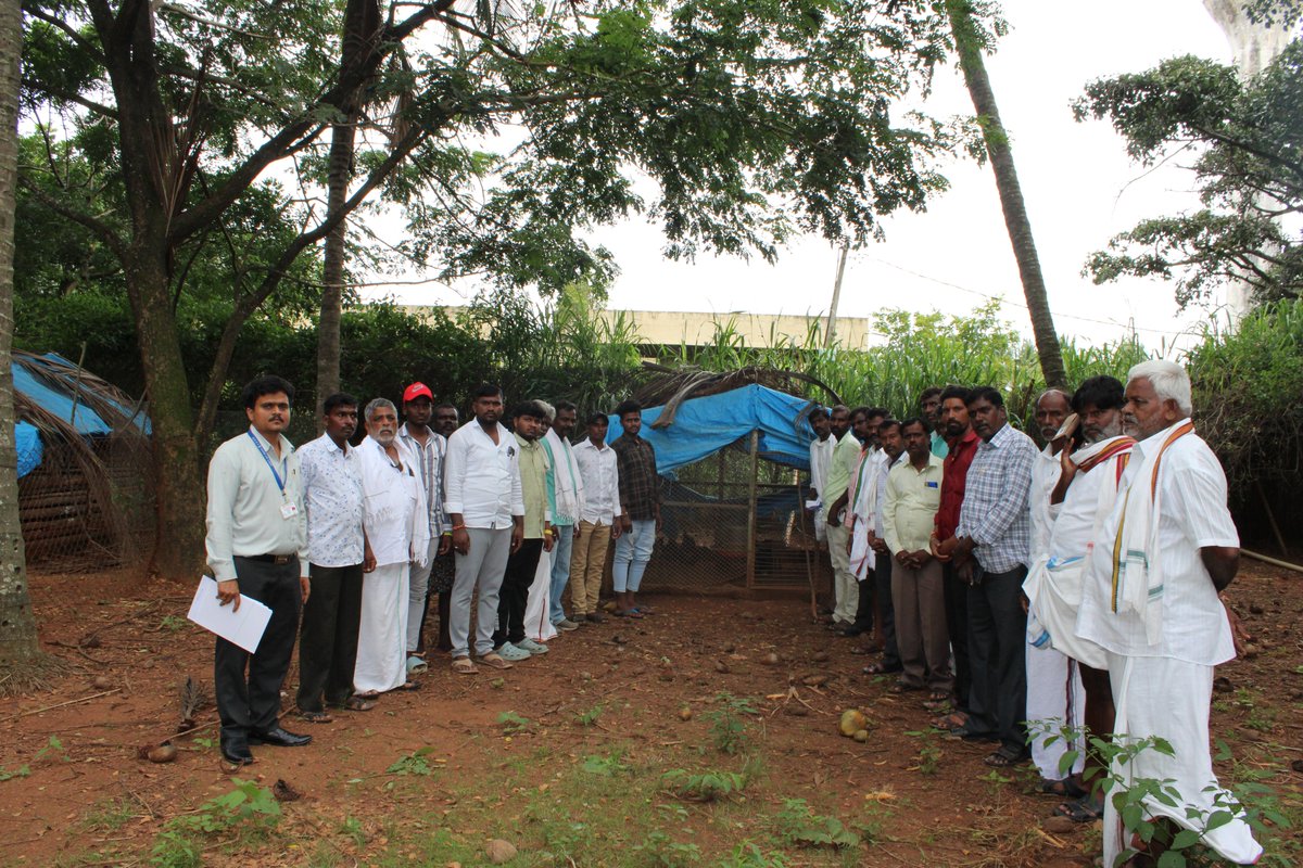 icar_nivedi's tweet image. ICAR-NIVEDI (DAPSC) sponsored , A one day training programme on Poultry Rearing and Management Practices was conducted at ICAR-NIVEDI, Farmers hostel on 22.08.24 by CEAH (CPDO &TI).
#trainingprogramme #farmers #poultry #management