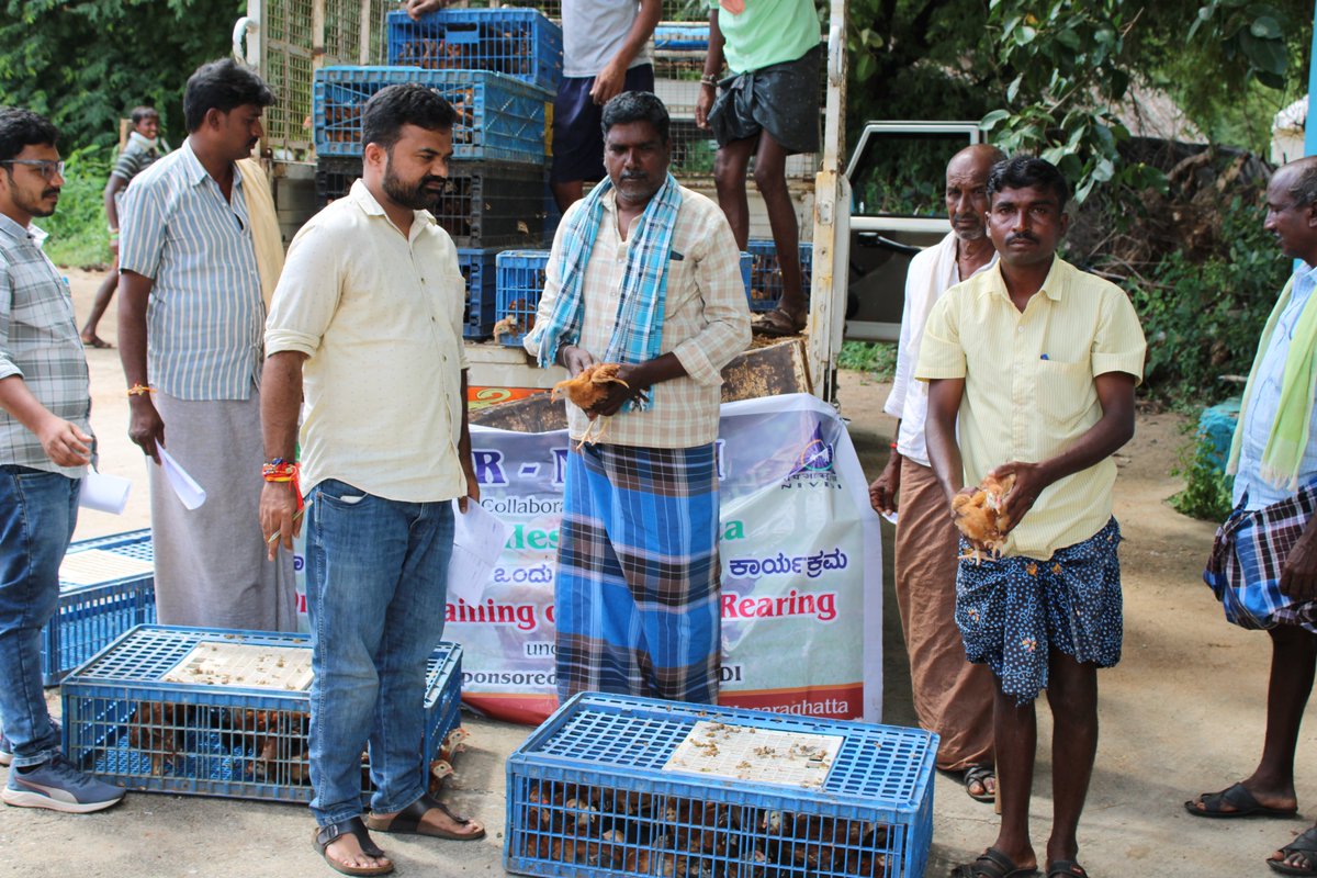 icar_nivedi's tweet image. ICAR-NIVEDI (DAPSC) sponsored , A one day training programme on Poultry Rearing and Management Practices was conducted at ICAR-NIVEDI, Farmers hostel on 22.08.24 by CEAH (CPDO &TI).
#trainingprogramme #farmers #poultry #management