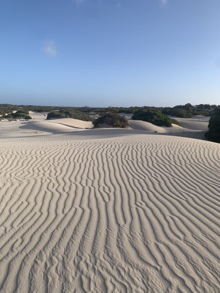 davidgregsmith's tweet image. Firing up the tweets to share a few pics from a recent trip to South Aus.