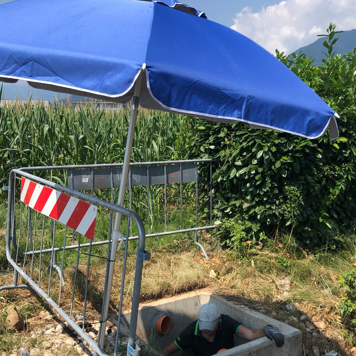 SpongeScapes tweet media