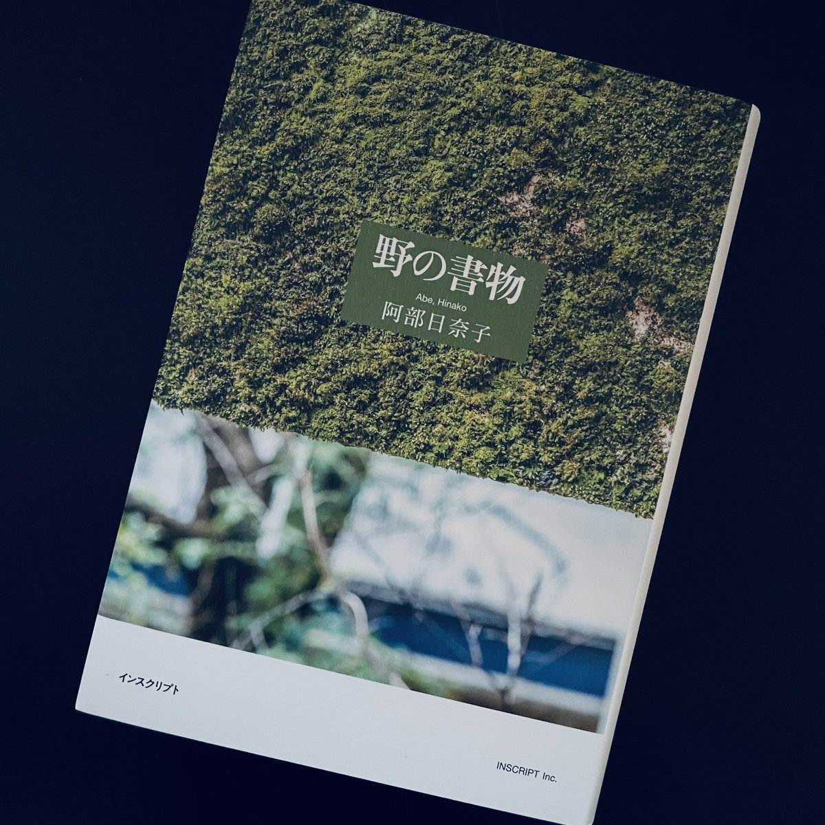 #詩 「未来はオーレンカのもの」の鮮やかさはフーリエ『愛の新世界』とつながる。

詩集『キンディッシュ』の虚構性はバタイユやカフカ、小川未明から。

詩人の読書遍歴が綴られた阿部日奈子『野の書物』で＜多感な自然児の系譜＞をたどる。

さっそく北原千代と足穂、デュラスが手元に。

#読了