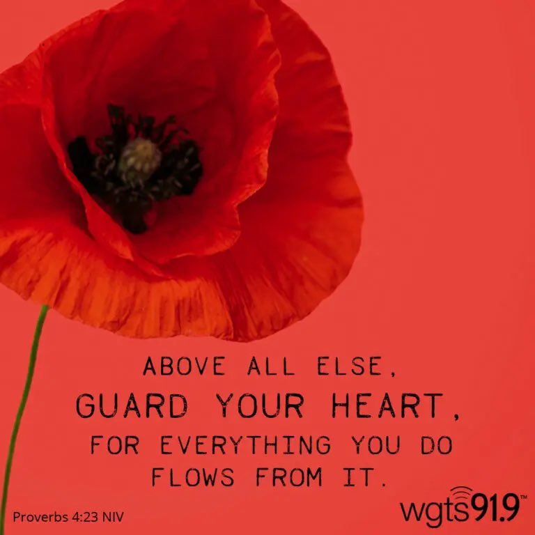 Above all else Guard your heart…