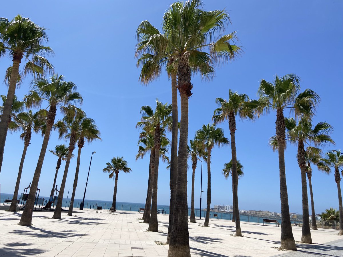 Sara Pasteels (@sara64242878) on Twitter photo 