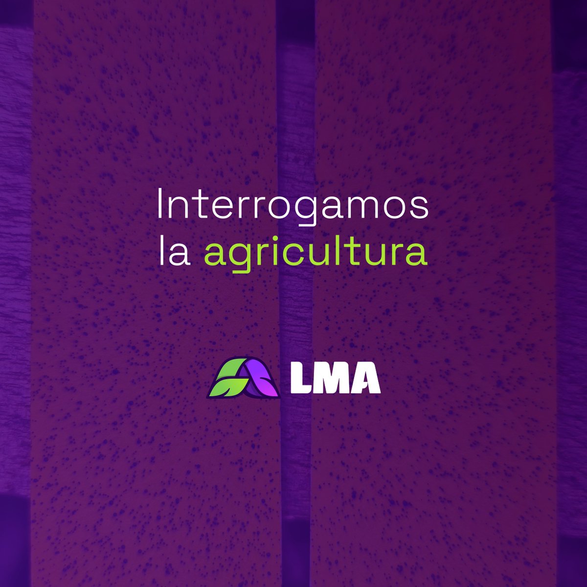lma_agro's tweet photo. En el #LabLMA, seguimos analizando el potencial del uso de tecnologías de aplicación 🌿🎯💦. 

En este caso, vemos comparativamente los conteos de gotas 💧 🔢 con el uso de mochila tradicional vs. el equipo de DVM (Micron), en macetas con pre-emergentes para control de #Lolium 👇 https://t.co/2xpMke1oeV