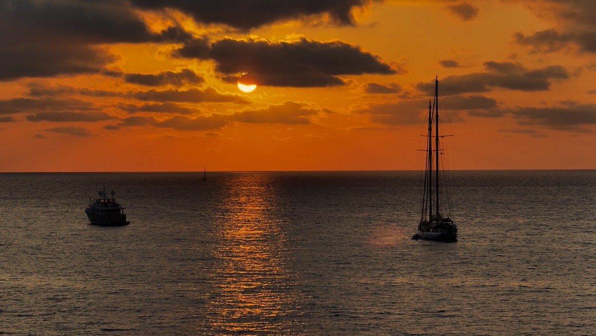 Martin Evans tweet media