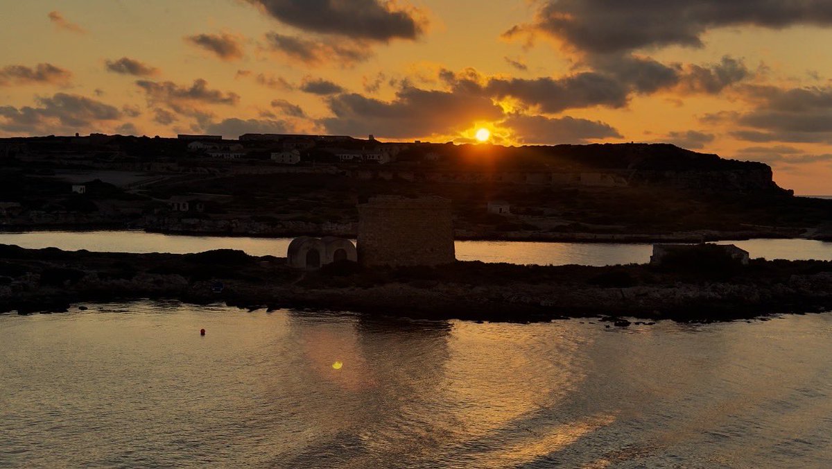 Martin Evans tweet media