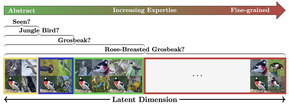 Sarah Rastegar (@rastegar_sarah) on Twitter photo 🚀 Excited to announce that our paper "SelEx: Self-Expertise in Fine-Grained Generalized Category Discovery" has been accepted to ECCV 2024! 🎉
Special thanks to my incredible coauthor <a href="/MrzSalehi/">mrz.salehi</a> and my amazing supervisors <a href="/y_m_asano/">Yuki</a>, <a href="/doughty_hazel/">Hazel Doughty</a>, and <a href="/cgmsnoek/">Cees Snoek</a>🙏. 🚀 Excited to announce that our paper "SelEx: Self-Expertise in Fine-Grained Generalized Category Discovery" has been accepted to ECCV 2024! 🎉
Special thanks to my incredible coauthor <a href="/MrzSalehi/">mrz.salehi</a> and my amazing supervisors <a href="/y_m_asano/">Yuki</a>, <a href="/doughty_hazel/">Hazel Doughty</a>, and <a href="/cgmsnoek/">Cees Snoek</a>🙏.