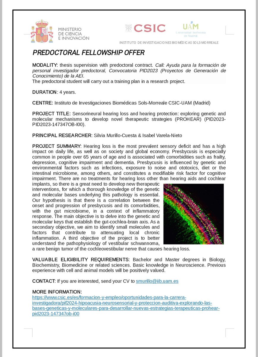 Neurobiology of Hearing and Myelinopathies Group tweet media