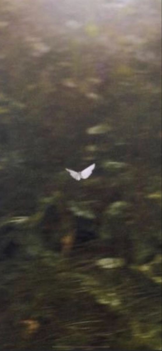 "Sevgili ölüm, henüz yaşamadım. "

Max Frisch|Sessizliğin Yanıtı