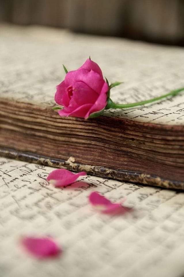 난
"할수 없어"가

많은
가능성을
불가능 하게 만들고

난
"할수 있어"가

많은
불가능을
가능하게 만듭니다..🖋

-지나간다 다지나간다1.2-