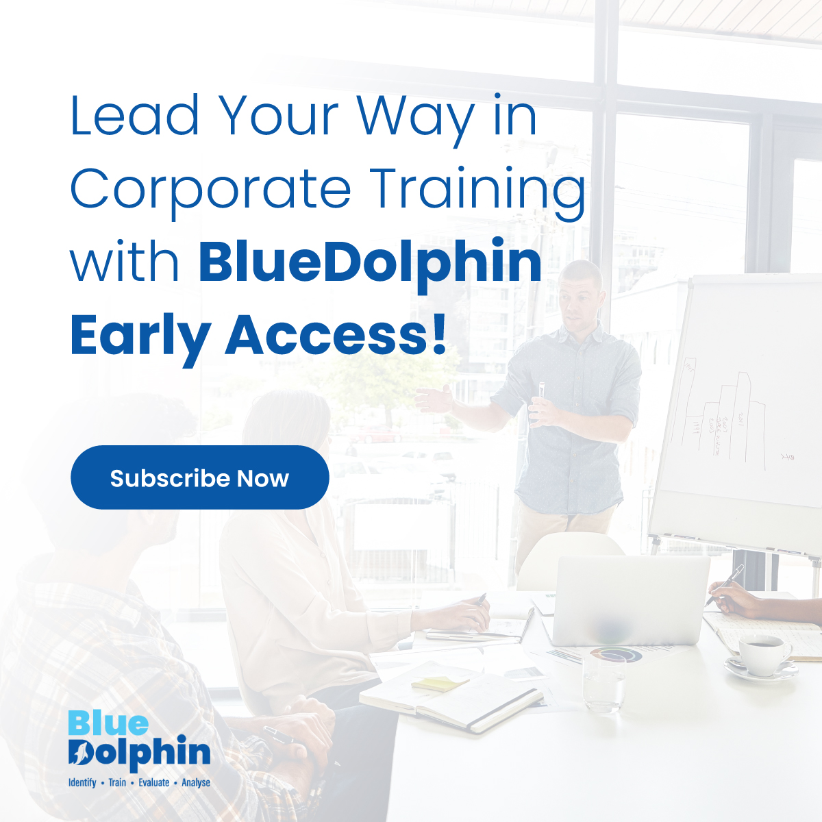 BlueDolphin tweet media