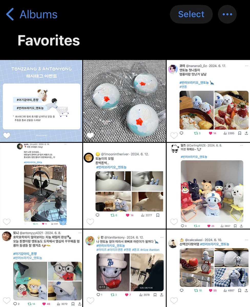 톤쨩🐶 앤토뇽🦕 tweet media