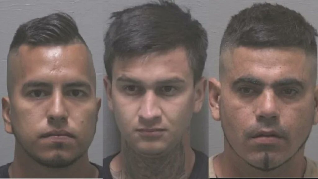 Bubblebathgirl's tweet photo. Colombian drug trafficking operation busted up in New Hanover County, NC as three illegals are arrested and charged with possession, trafficking, and manufacturing coc*ine

https://t.co/iV4JzqfzY1
