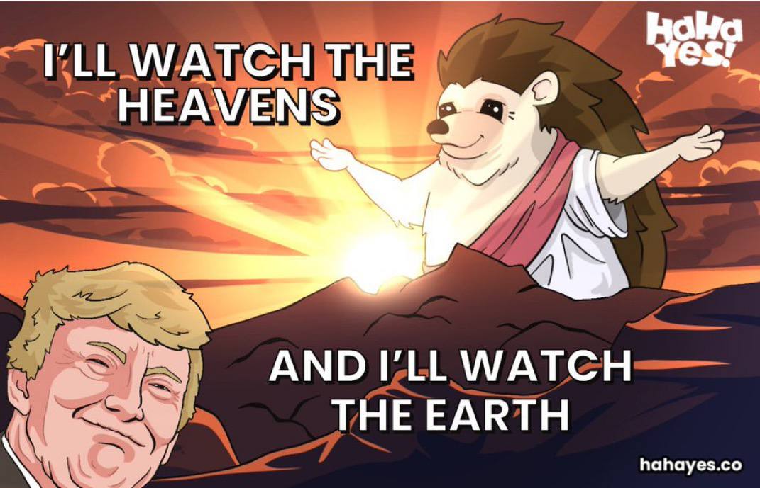 Juzz 🦔 tweet media