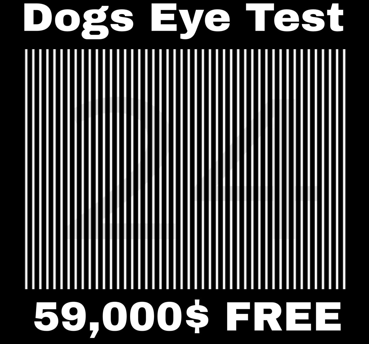 Pavel Durov (Parody) tweet media