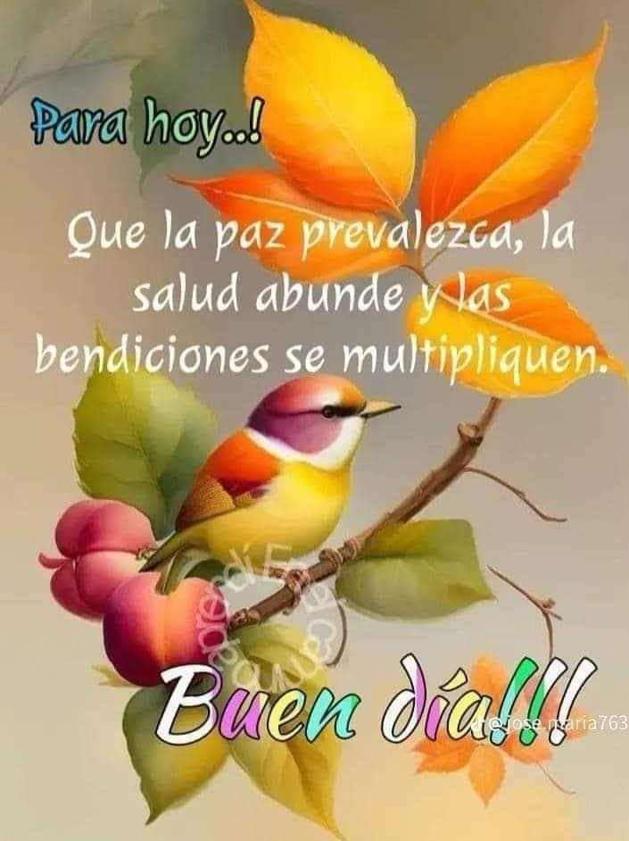 ¡¡Buenos días mundo!!

Exitoso Jueves, casi Viernes ✨️

@ReynaGraciela4 <a href="/AlejandraSuar3z/">Alejandra Suárez</a>