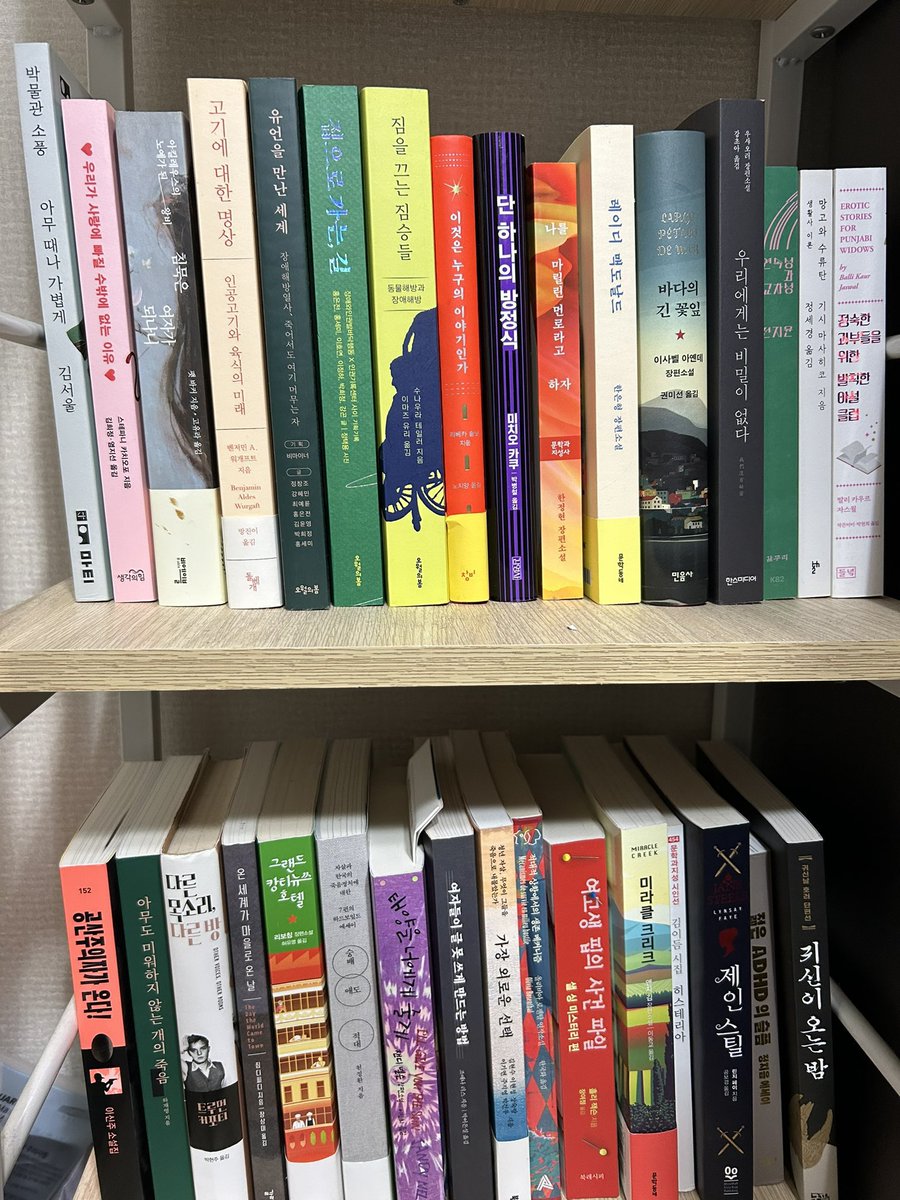 타로 보는 최술탄 tweet media