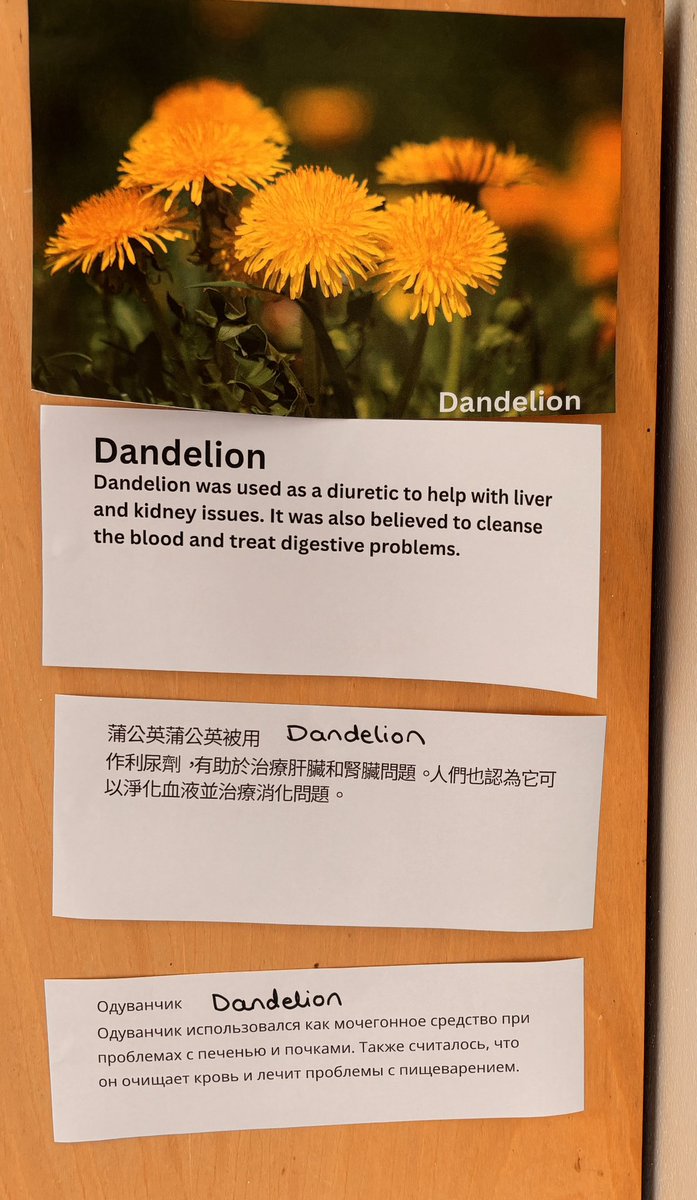 Beccy Fox tweet media