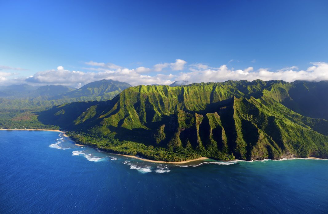 Amit Merchea (@merchea_md) on Twitter photo Registration is now Open for the <a href="/MayoClinic/">Mayo Clinic</a> Interactive Surgery Symposium 2025 in Kauai, Hawaii. Come to the premier general surgical #CME course! Feb 2-7, 2025. #MayoISS_25
ce.mayo.edu/surgical-speci… Registration is now Open for the <a href="/MayoClinic/">Mayo Clinic</a> Interactive Surgery Symposium 2025 in Kauai, Hawaii. Come to the premier general surgical #CME course! Feb 2-7, 2025. #MayoISS_25
ce.mayo.edu/surgical-speci…