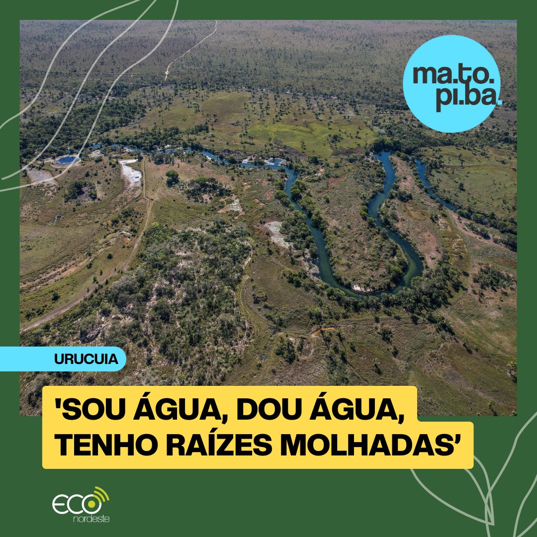 Apesar de sua importância, o Aquífero Urucuia vê seu nível de água reduzir. Entenda o que isso tem a ver com o agronegócio no Oeste da Bahia: bit.ly/3MmiR5V #aquifero #cerrado #matopiba
Foto: Eduardo Cunha