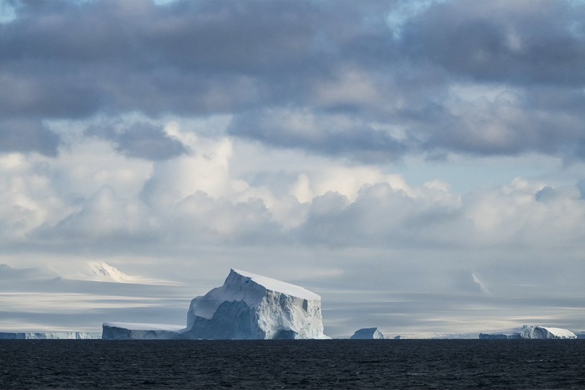 Neil Ever Osborne tweet media