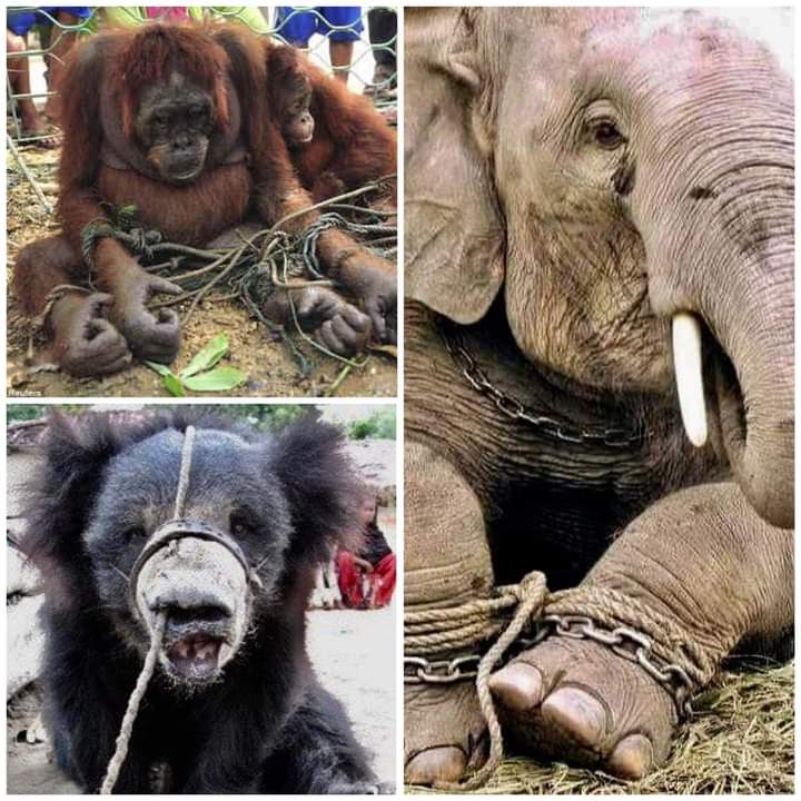 AdeaClaude's tweet photo. Parfois une image vaut mille mots 😡😡😡😭😭😭 https://t.co/Kw0Dqq6sr7