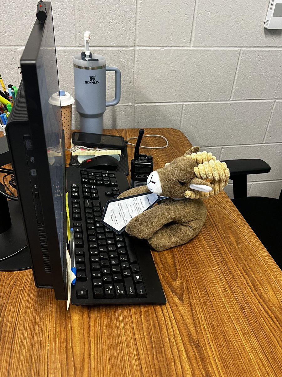 Busy week for Rambito , waiting for water spills and checking a lot of emails 🤣 <a href="/RambitoMCHS/">Rambito</a>