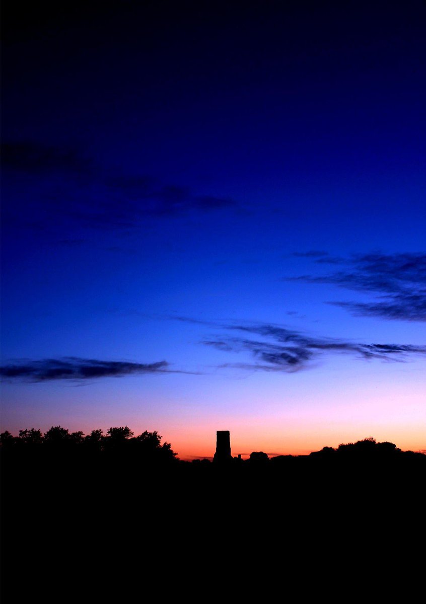 Timothy Haines He/Him tweet media