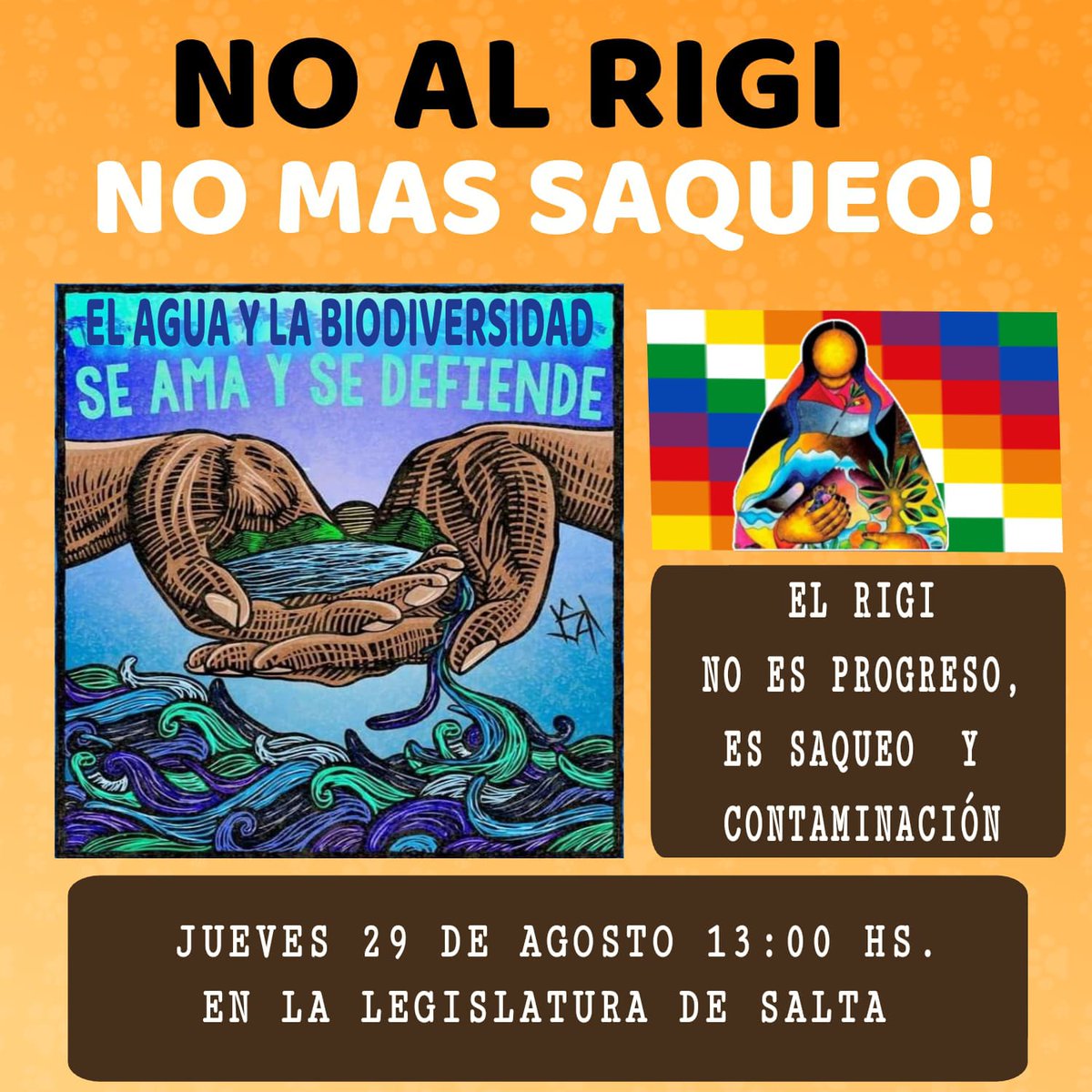 En distintas localidades del país se sale a decir:
#NoAlRIGI