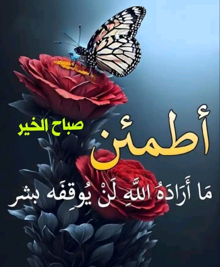 lllsax's tweet photo. https://t.co/xaR82OPx3o