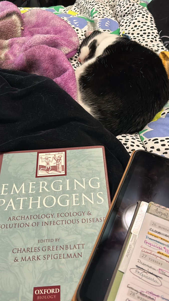 JazzDemetrioff's tweet image. Begot by the flu and so now my dissertation research has new meaning. I have the full support of Jack through this endeavour at least. 🤒 #PhDthoughts