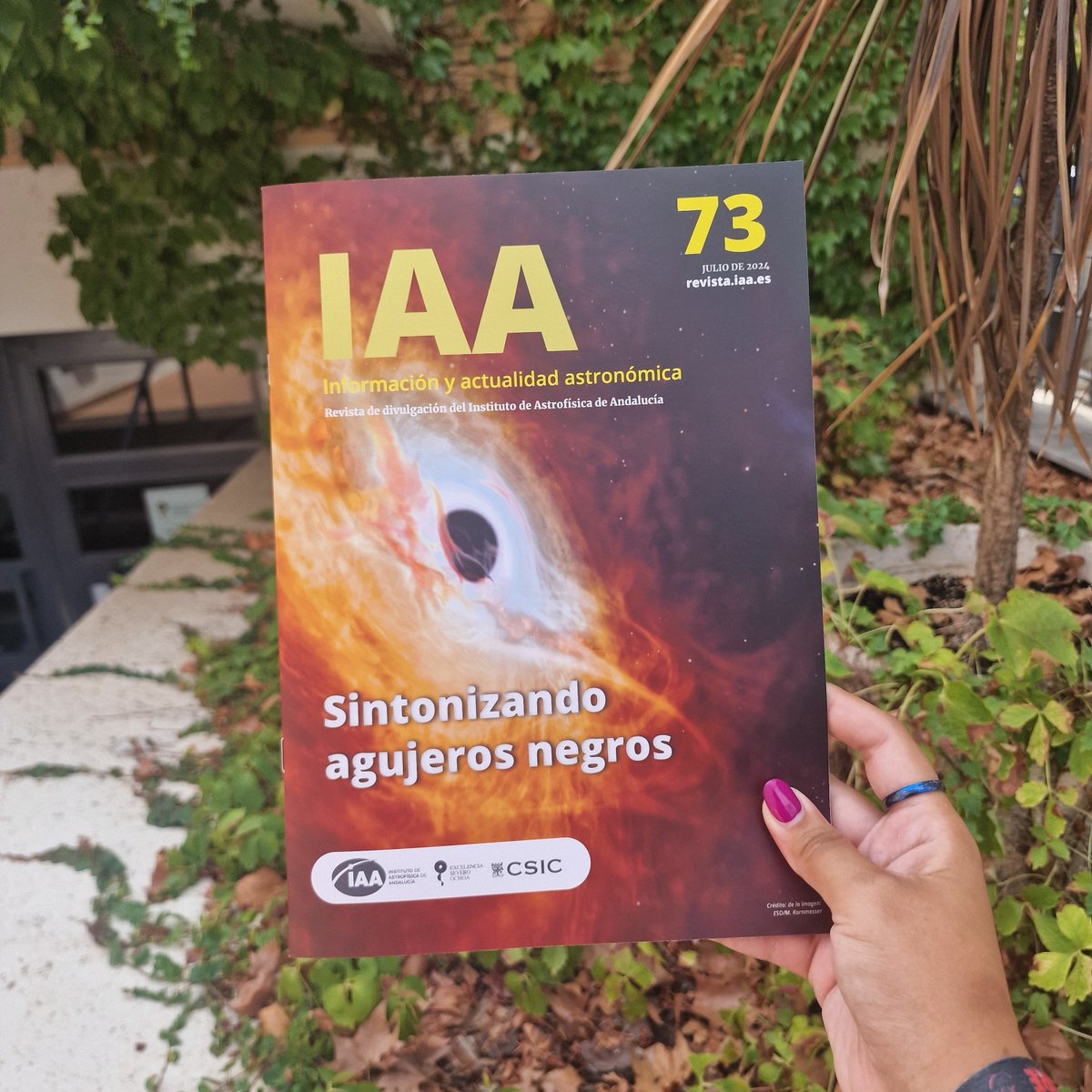 Ya tenemos el número 73 de nuestra Revista IAA!!🤩🤩

👉 Podéis adquirir una copia física en el centro o leerlo en la web revista.iaa.es