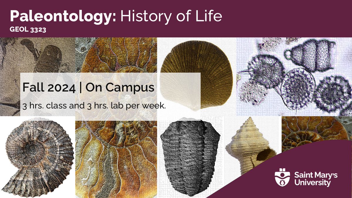 SMU Earth Science tweet media