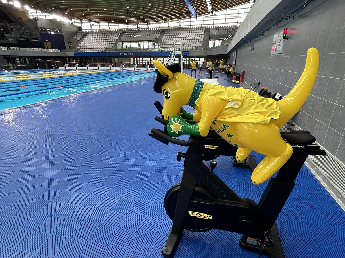 Jumpy The Kangaroo💚💛 tweet media