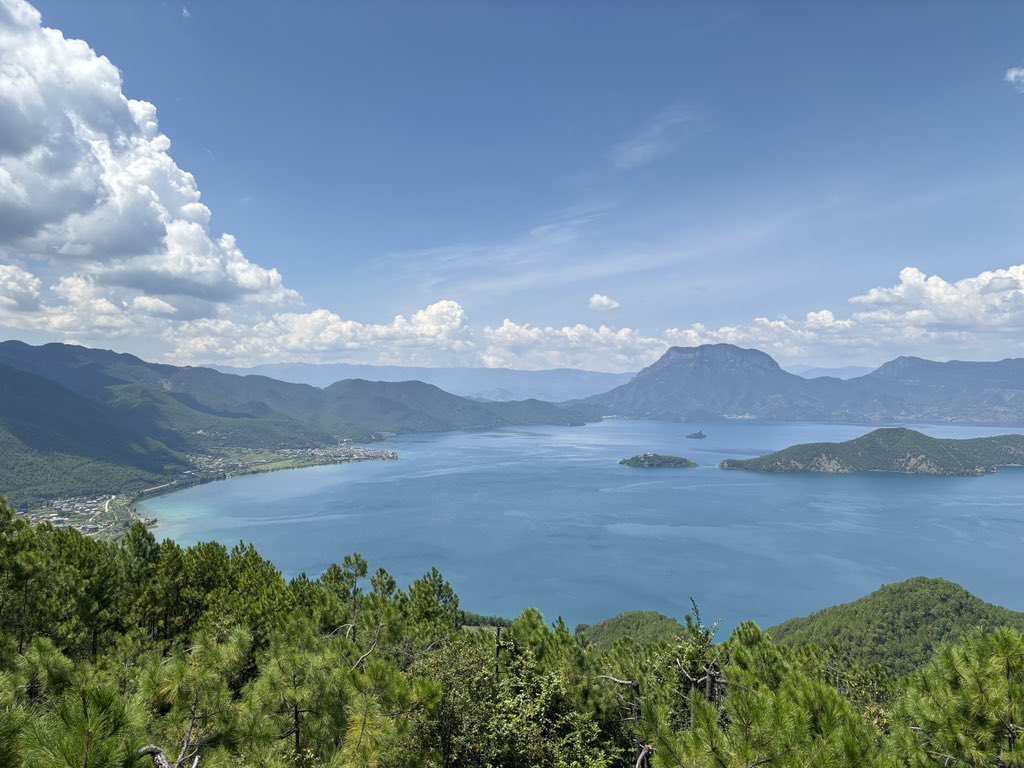 euRingo's tweet image. 🐟