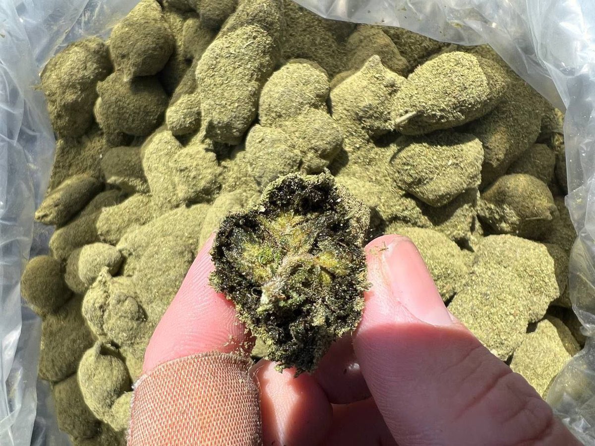 Limpee3's tweet image. 🔥🔥🔥