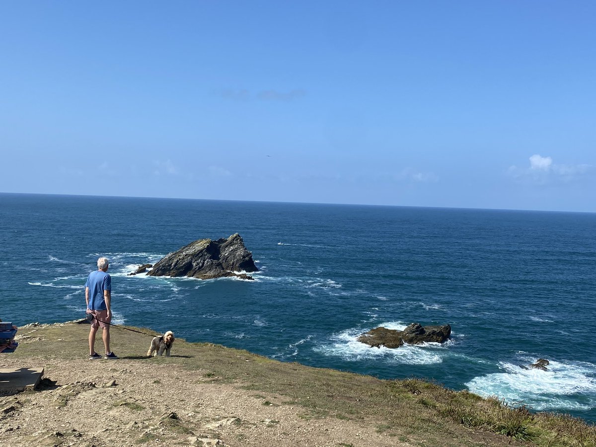 ExploraNeedham's tweet image. 