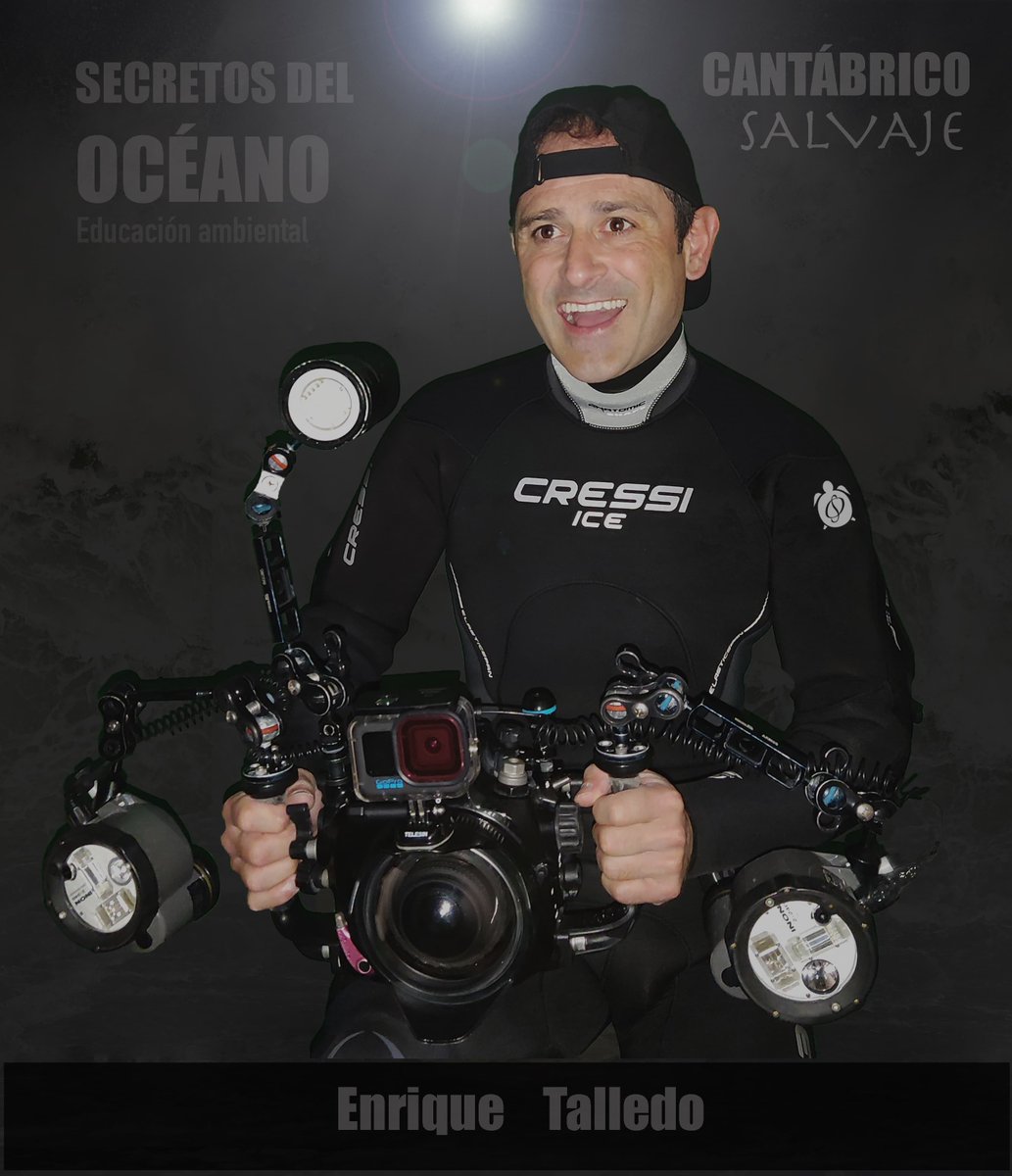 Ya tenemos a nuestro primer jurado para esta 7ª edición del Open Fotosub Online de El Hierro: Enrique Talledo
Noticia completa: 📷 online.fotosubelhierro.es/el-videografo-…
#elhierro #fotosubonline #islascanarias #larestinga #uwphotography #underwater #fotosub #concursos #dive #apnea #freedive