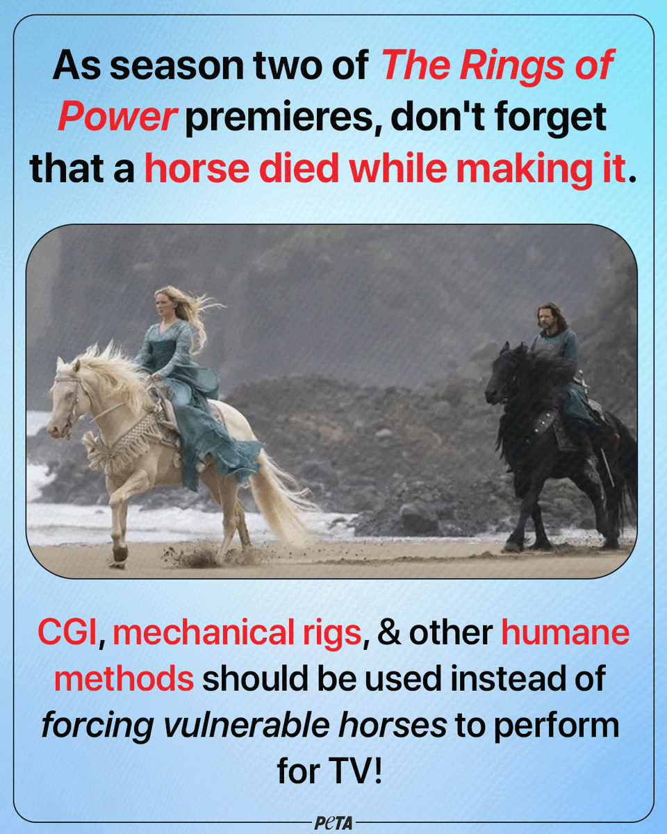 peta's tweet photo. A horse died on set in the making of this season's #TheRingsofPower 💔

Tweet @PrimeVideo &amp; ask it to stop exploiting animals for entertainment! https://t.co/3ig9Lj3Xdh
