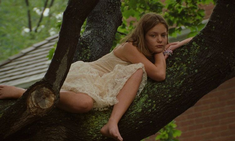 TheCinesthetic's tweet photo. the virgin suicides (1999) dir. sofia coppola https://t.co/pUAbC4gOdN