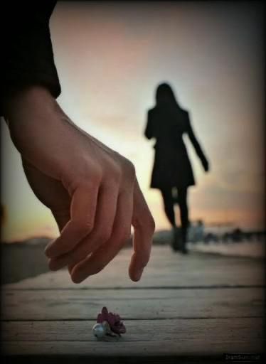 Unas_letras_'s tweet photo. El eco de sus pasos aún resuena en los pasillos vacíos de mi memoria; donde cada puerta que cerramos juntos guarda un sueño de los dos, inolvidable.
AlexRoch
#poesia #poemas #frases #UnasLetras #AlexRoch https://t.co/00wuzXCZBo
