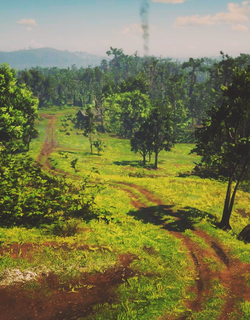 DanielsArt_'s tweet photo. Red Dead Redemption 2 | * repost *  
#24VP7 #FutureVPSupport #VPCONTEXT https://t.co/moL9CEFevL