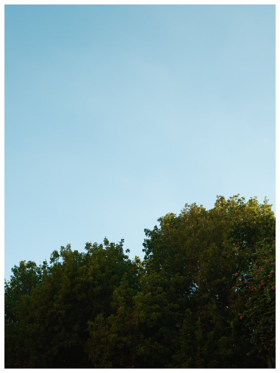 Took the Fujifilm X-T5 for a walk. Loving this camera.