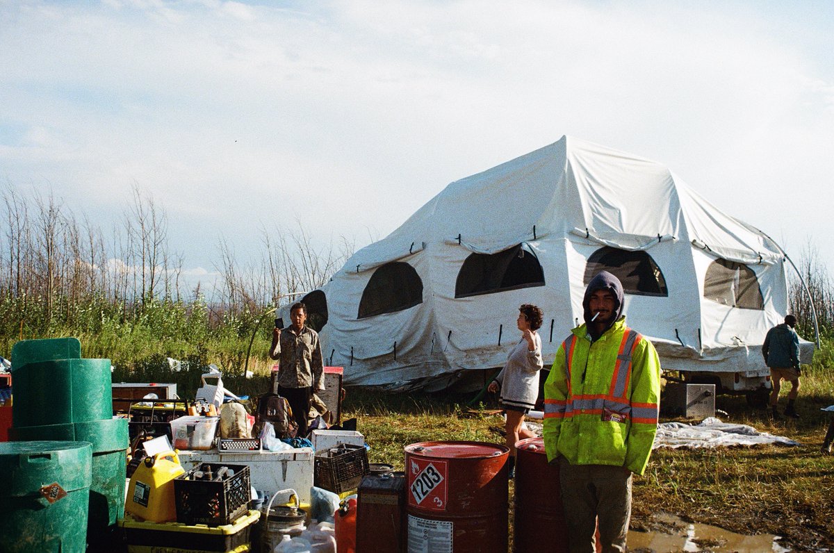 jakkdaveed's tweet image. summer in the trees